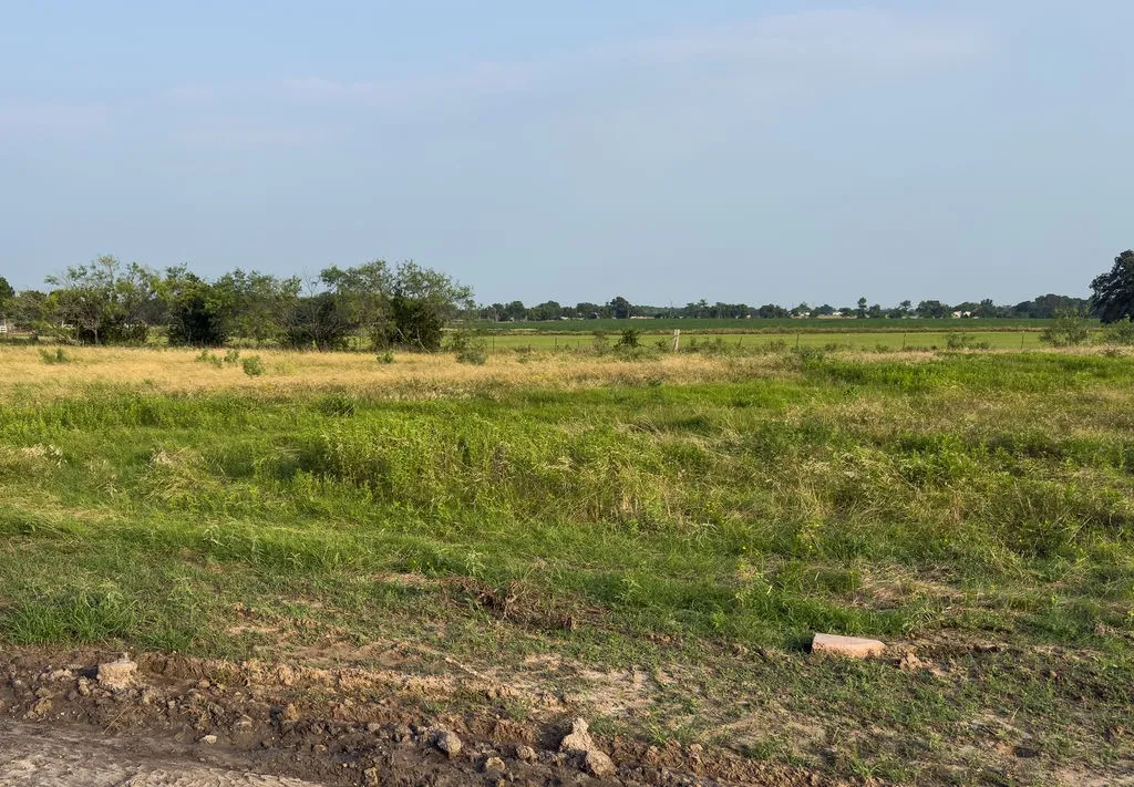 Expansive land parcel featuring natural grasses and scattered trees