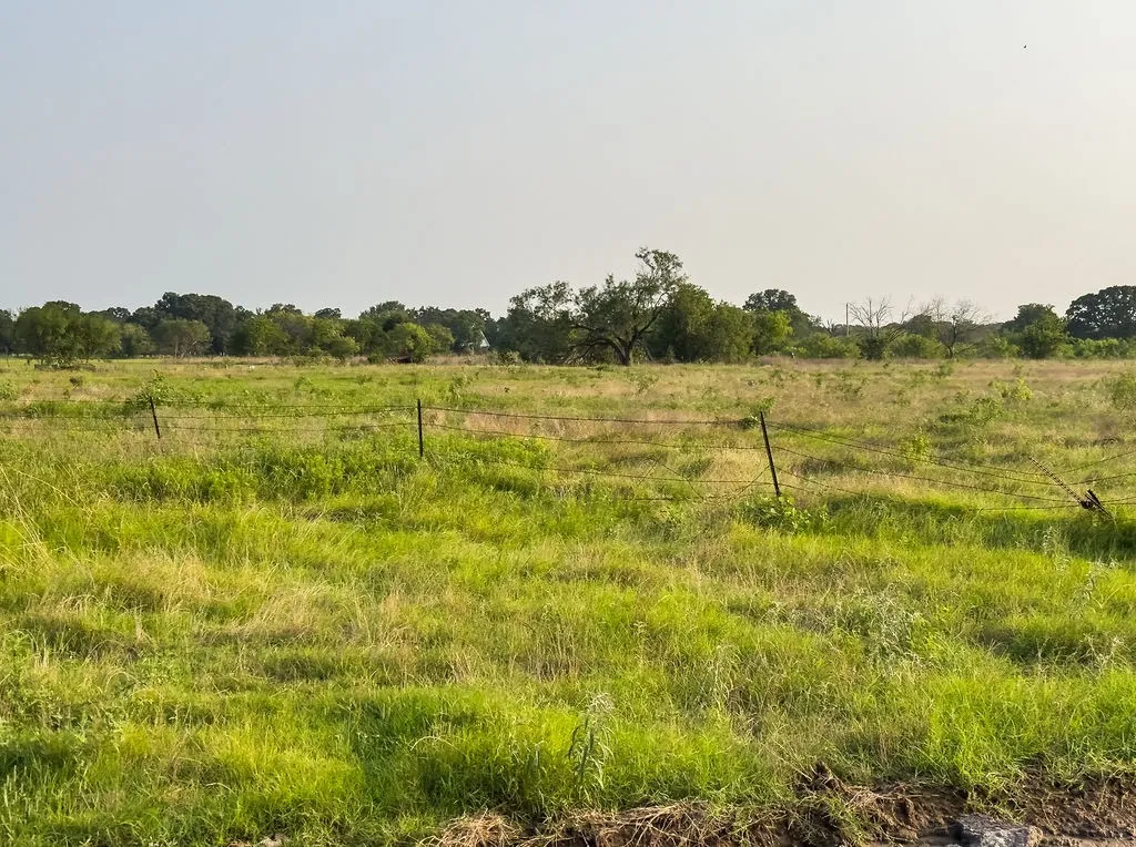 Expansive open land featuring natural grasses and scattered mature trees