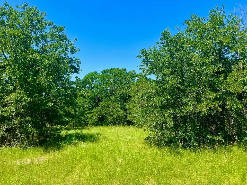 Unimproved Land For Sale in Parker County , Lot 34 Galway Rd, Poolville, Texas 76487, 0, 0, Garage spaces, 0 Sqft, built in 0, Price $94,900, mls#21309435, Real Estate Agent in Poolville, Homes For Sale in Parker county, Homes For Sale in Poolville, Realtor in Poolville Texas, Real Estate Brokerage Independent Realty Texas, Luminita Cordes Realtor