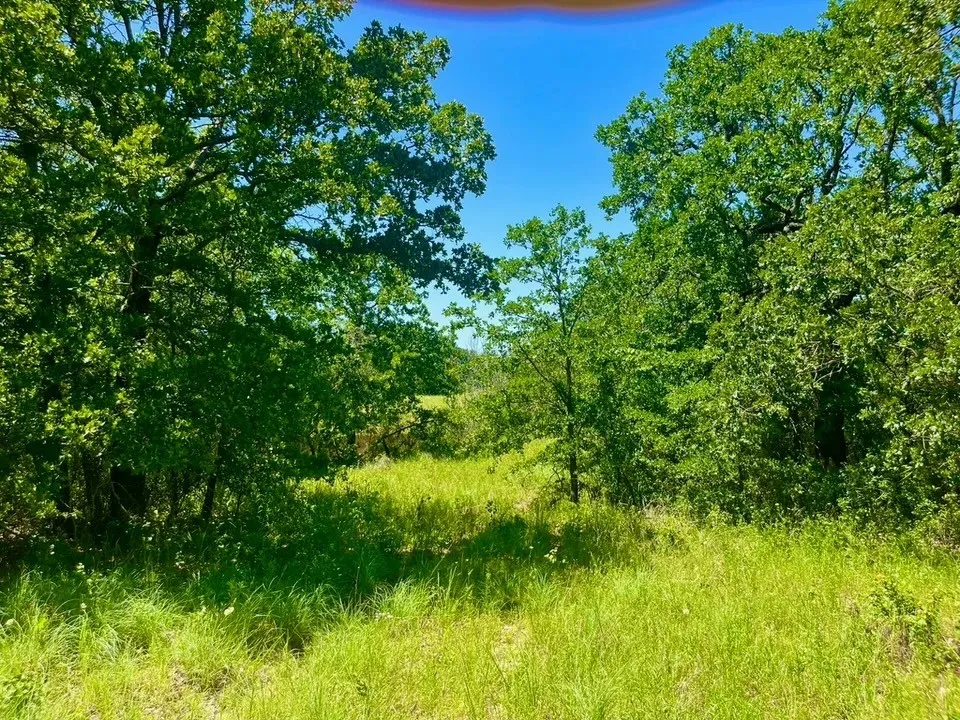 View of landscape