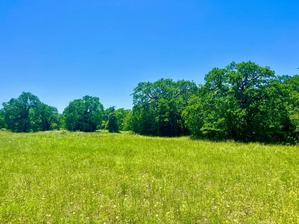 View of nature with a rural view