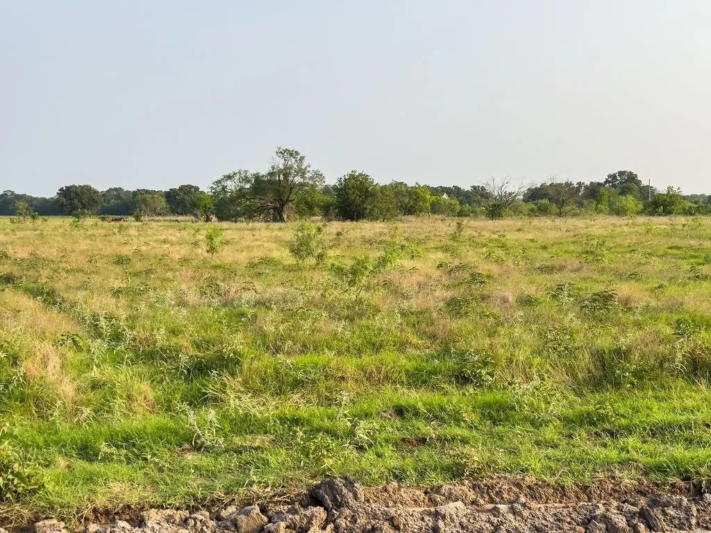 Expansive open field with natural vegetation and distant tree lines