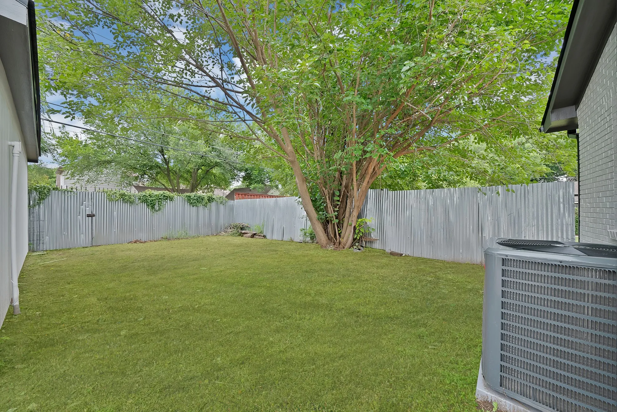 Expansive backyard featuring a mature tree, galvanized metal fencing, and a manicured lawn