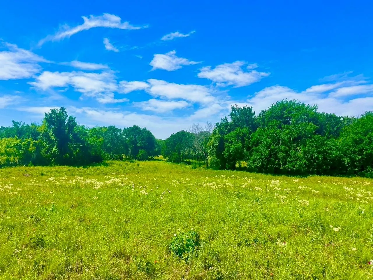 View of landscape