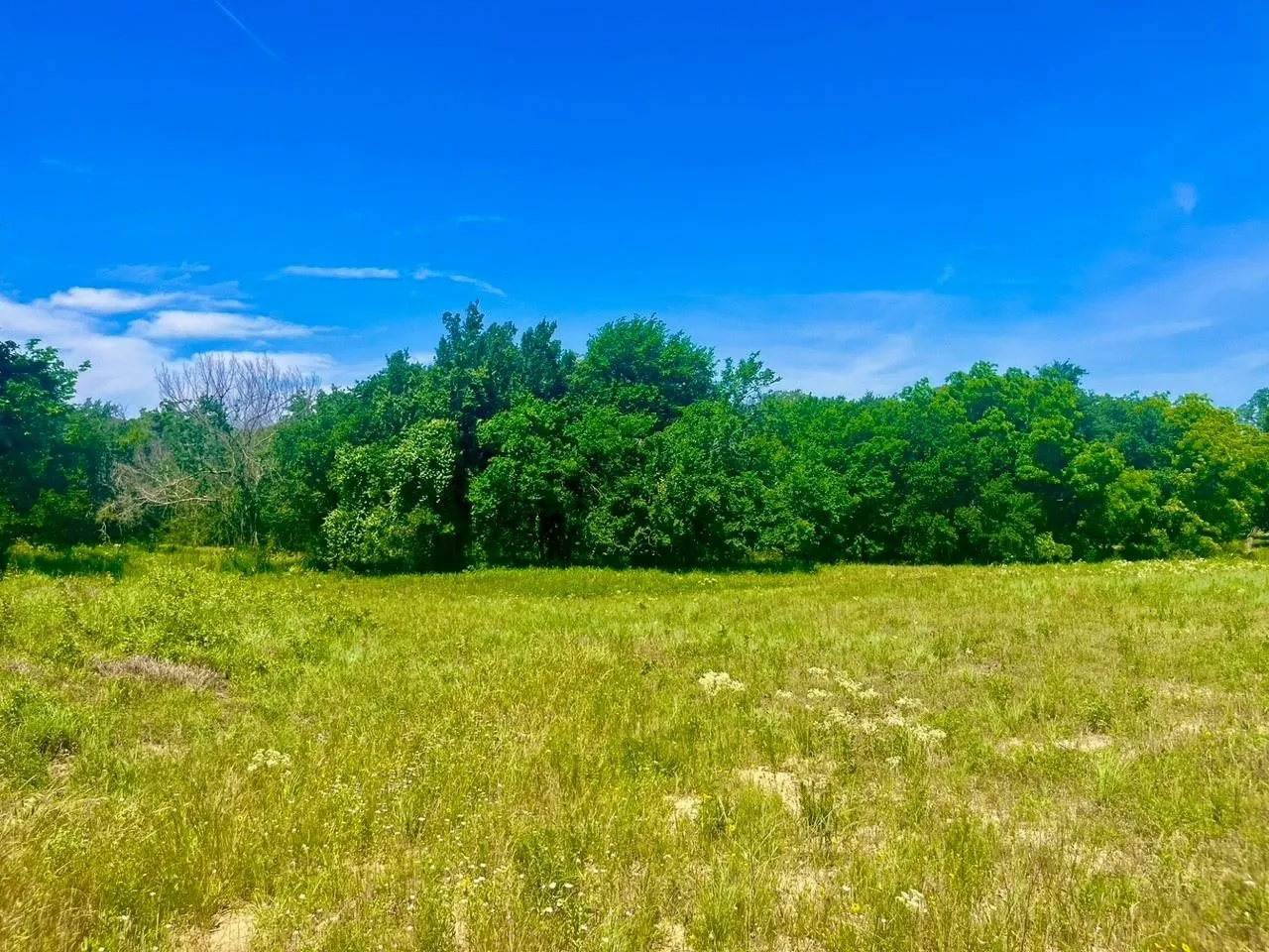 View of nature