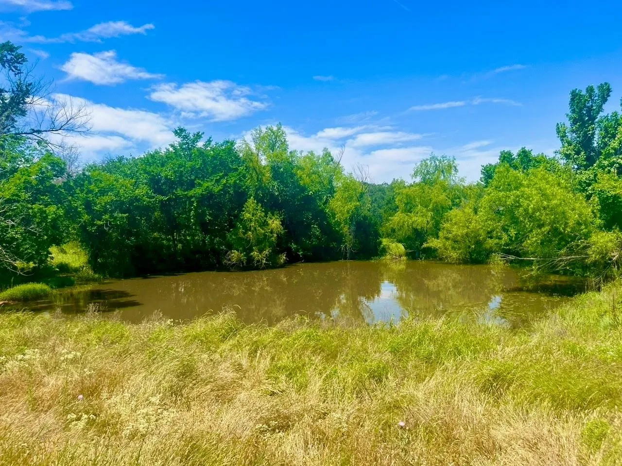 Unimproved Land For Sale in Parker County , Lot 99 Arlow Road, Poolville, Texas 76487, 0, 0, Garage spaces, 0 Sqft, built in 0, Price $94,900, mls#21309443, Real Estate Agent in Poolville, Homes For Sale in Parker county, Homes For Sale in Poolville, Realtor in Poolville Texas, Real Estate Brokerage Independent Realty Texas, Luminita Cordes Realtor