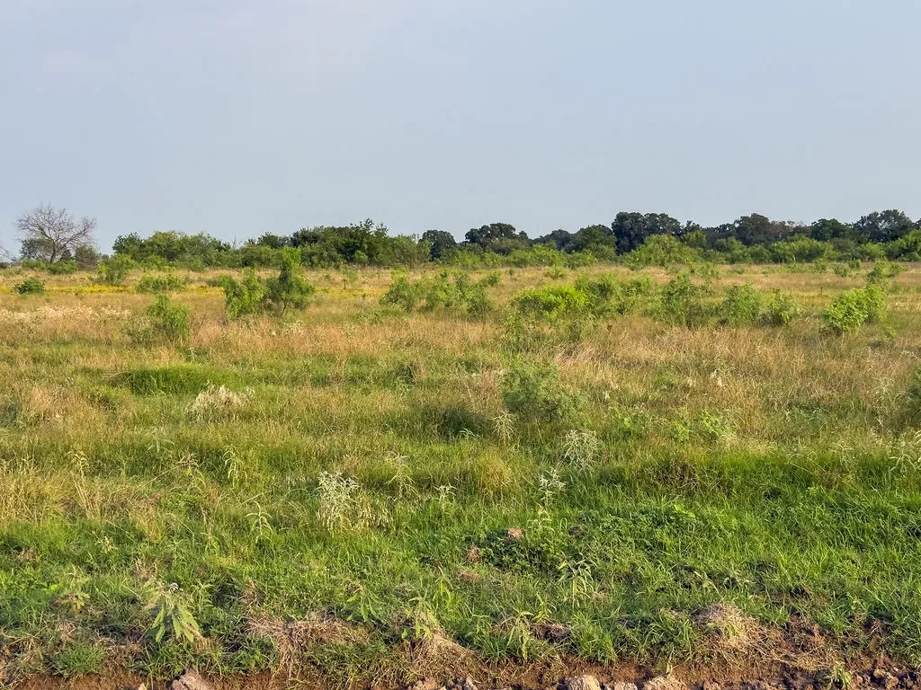 Expansive undeveloped lot featuring varied natural vegetation, rolling terrain, and a distant treeline
