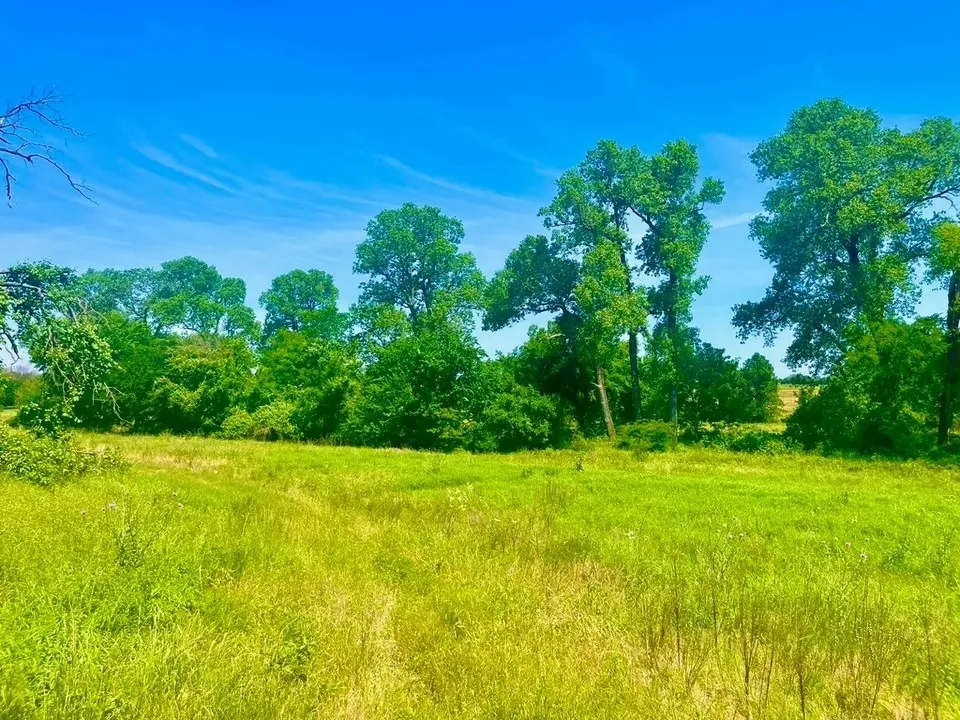 View of landscape