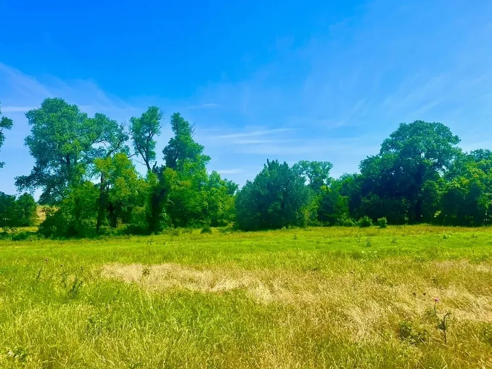 Unimproved Land For Sale in Parker County , Lot 93 Kerry Ct, Poolville, Texas 76487, 0, 0, Garage spaces, 0 Sqft, built in 0, Price $94,900, mls#21309447, Real Estate Agent in Poolville, Homes For Sale in Parker county, Homes For Sale in Poolville, Realtor in Poolville Texas, Real Estate Brokerage Independent Realty Texas, Luminita Cordes Realtor