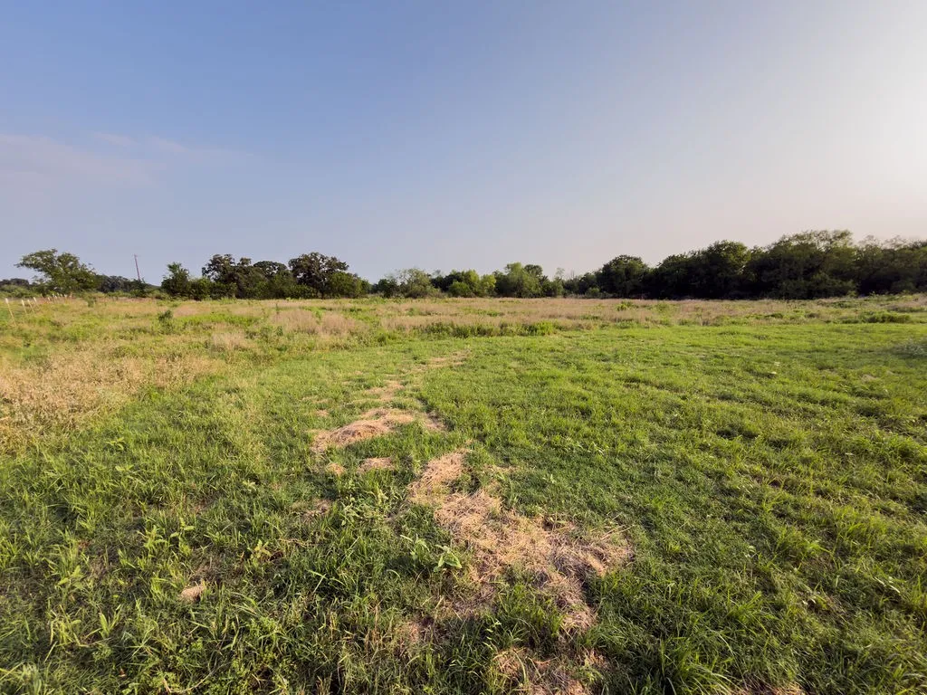 Improved Land For Sale in Mc Lennan County , LOT 14 ELM BRANCH, Elm Mott, Texas 76640, 0, 0, Garage spaces, 0 Sqft, built in 0, mls#21307848, Real Estate Agent in Elm Mott, Homes For Sale in Mc Lennan county, Homes For Sale in Elm Mott, Realtor in Elm Mott Texas, Real Estate Brokerage Independent Realty Texas, Luminita Cordes Realtor