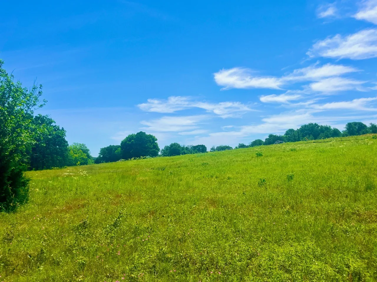 Unimproved Land For Sale in Parker County , Lot 102 Arlow Road, Poolville, Texas 76487, 0, 0, Garage spaces, 0 Sqft, built in 0, Price $94,900, mls#21309455, Real Estate Agent in Poolville, Homes For Sale in Parker county, Homes For Sale in Poolville, Realtor in Poolville Texas, Real Estate Brokerage Independent Realty Texas, Luminita Cordes Realtor