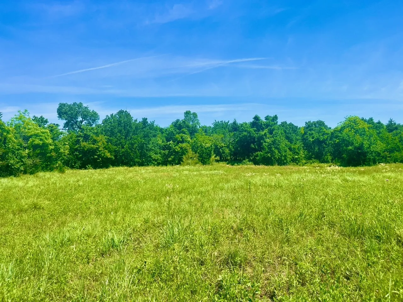 Unimproved Land For Sale in Parker County , Lot 102 Arlow Road, Poolville, Texas 76487, 0, 0, Garage spaces, 0 Sqft, built in 0, Price $94,900, mls#21309455, Real Estate Agent in Poolville, Homes For Sale in Parker county, Homes For Sale in Poolville, Realtor in Poolville Texas, Real Estate Brokerage Independent Realty Texas, Luminita Cordes Realtor