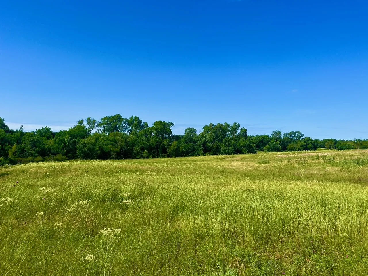 Unimproved Land For Sale in Parker County , Lot 69 Kilkenny Road, Poolville, Texas 76487, 0, 0, Garage spaces, 0 Sqft, built in 0, Price $79,900, mls#21309463, Real Estate Agent in Poolville, Homes For Sale in Parker county, Homes For Sale in Poolville, Realtor in Poolville Texas, Real Estate Brokerage Independent Realty Texas, Luminita Cordes Realtor