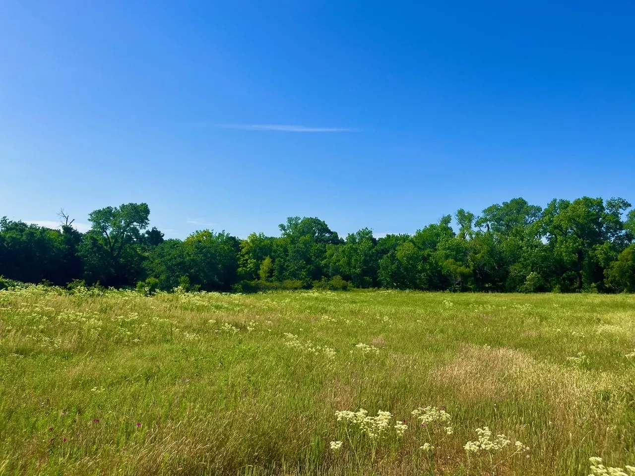 Unimproved Land For Sale in Parker County , Lot 69 Kilkenny Road, Poolville, Texas 76487, 0, 0, Garage spaces, 0 Sqft, built in 0, Price $79,900, mls#21309463, Real Estate Agent in Poolville, Homes For Sale in Parker county, Homes For Sale in Poolville, Realtor in Poolville Texas, Real Estate Brokerage Independent Realty Texas, Luminita Cordes Realtor
