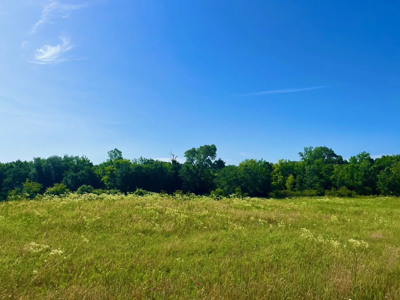 Unimproved Land For Sale in Parker County , Lot 69 Kilkenny Road, Poolville, Texas 76487, 0, 0, Garage spaces, 0 Sqft, built in 0, Price $79,900, mls#21309463, Real Estate Agent in Poolville, Homes For Sale in Parker county, Homes For Sale in Poolville, Realtor in Poolville Texas, Real Estate Brokerage Independent Realty Texas, Luminita Cordes Realtor