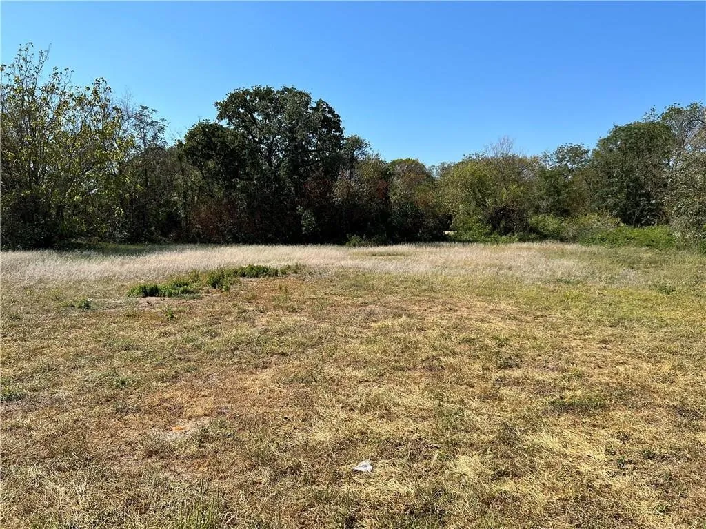 Unimproved Land For Sale in Mc Lennan County , 718 E Johnson Street, Waco, Texas 76705, 0, 0, Garage spaces, 0 Sqft, built in 0, Price $40,000, mls#21309460, Real Estate Agent in Waco, Homes For Sale in Mc Lennan county, Homes For Sale in Waco, Realtor in Waco Texas, Real Estate Brokerage Independent Realty Texas, Luminita Cordes Realtor