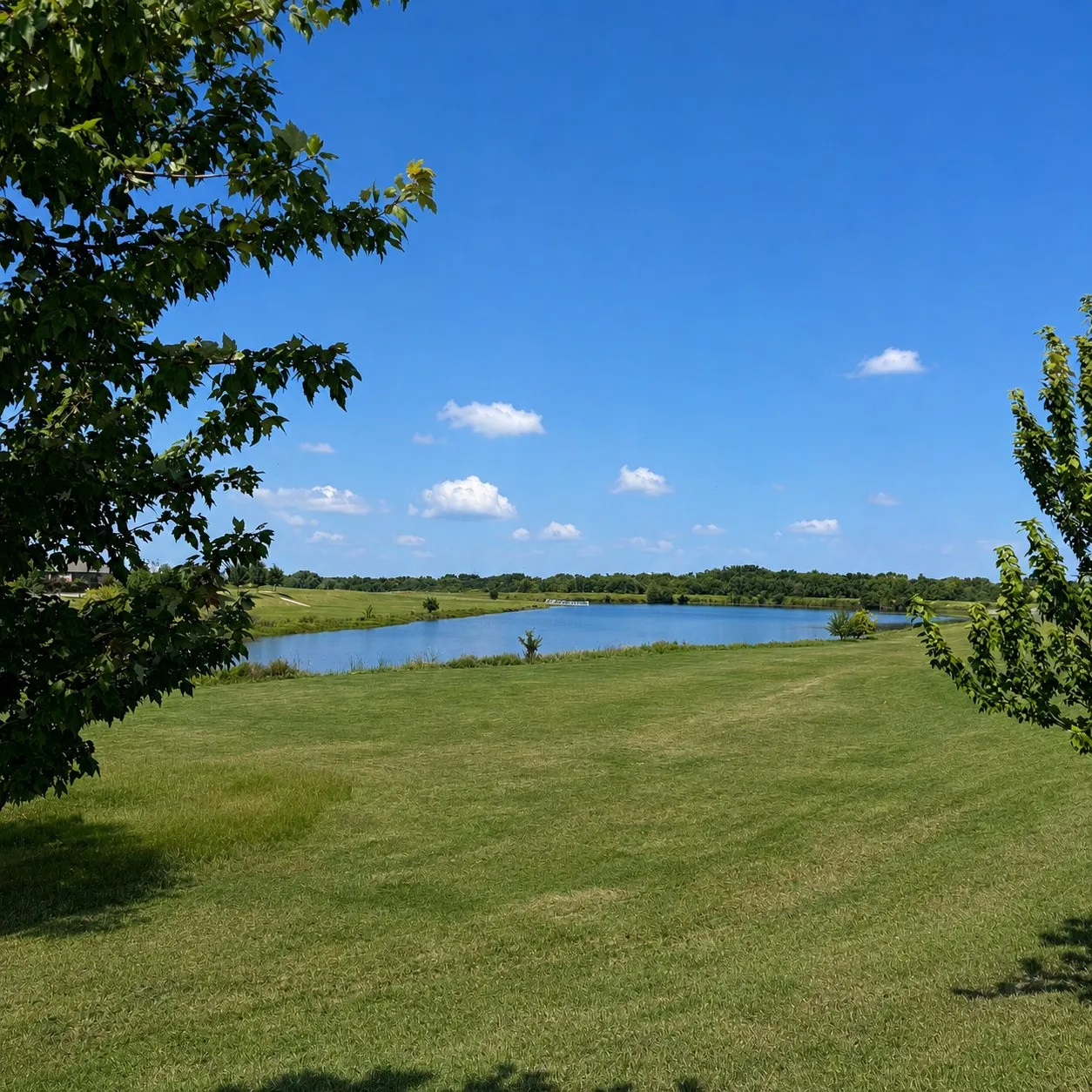Morning coffee overlooking the pond.