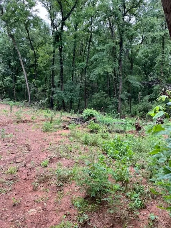 Unimproved Land For Sale in Cherokee County , 334 Sabine, Bullard, Texas 75757, 0, 0, Garage spaces, 0 Sqft, built in 0, Price $6,500, mls#21302409, Real Estate Agent in Bullard, Homes For Sale in Cherokee county, Homes For Sale in Bullard, Realtor in Bullard Texas, Real Estate Brokerage Independent Realty Texas, Luminita Cordes Realtor