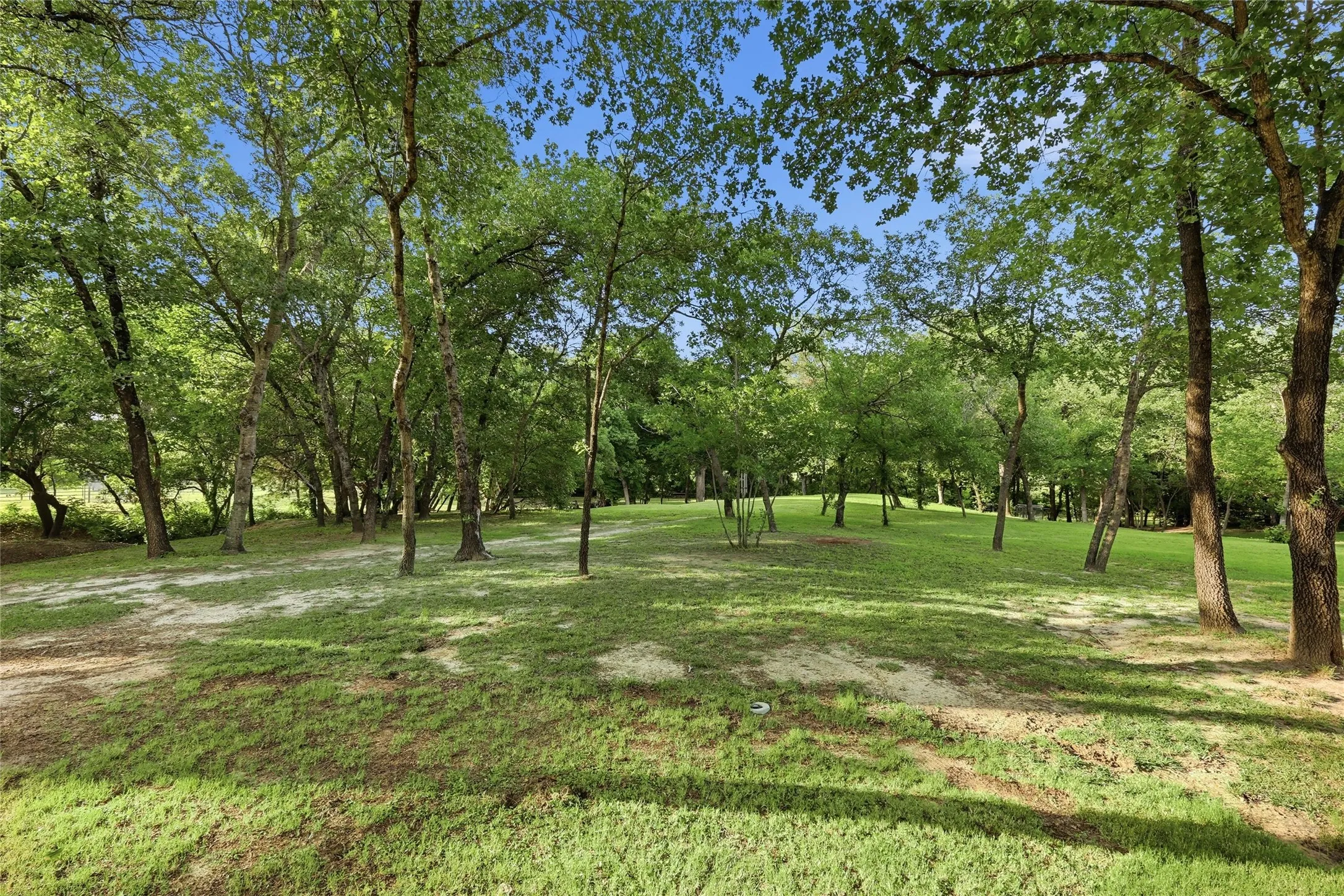 Expansive grassy area surrounded by numerous mature trees