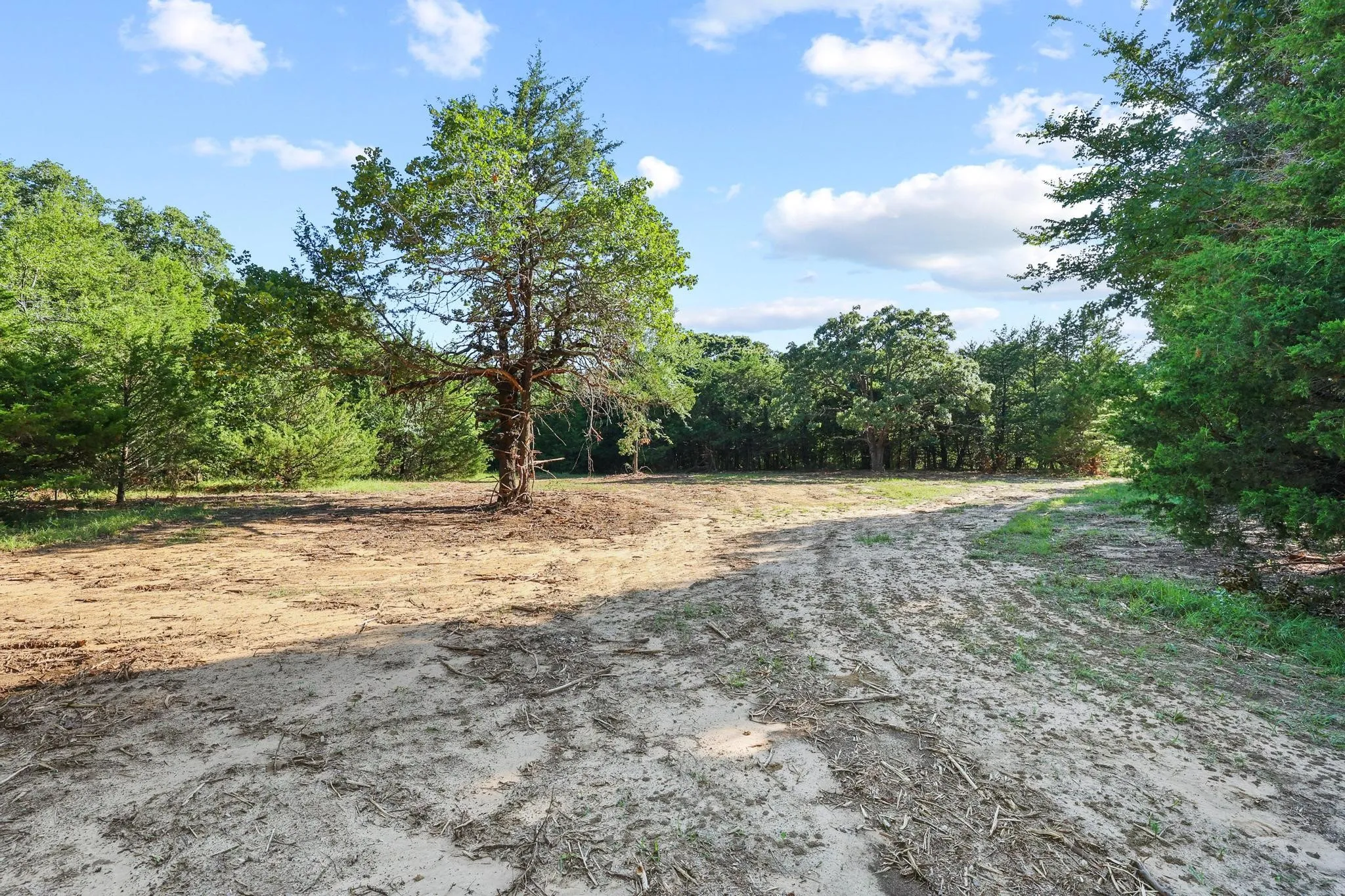 Unimproved Land For Sale in Cooke County , Tract 1 County Road 265, Collinsville, Texas 76233, 0, 0, Garage spaces, 0 Sqft, built in 0, Price $450,000, mls#21301172, Real Estate Agent in Collinsville, Homes For Sale in Cooke county, Homes For Sale in Collinsville, Realtor in Collinsville Texas, Real Estate Brokerage Independent Realty Texas, Luminita Cordes Realtor