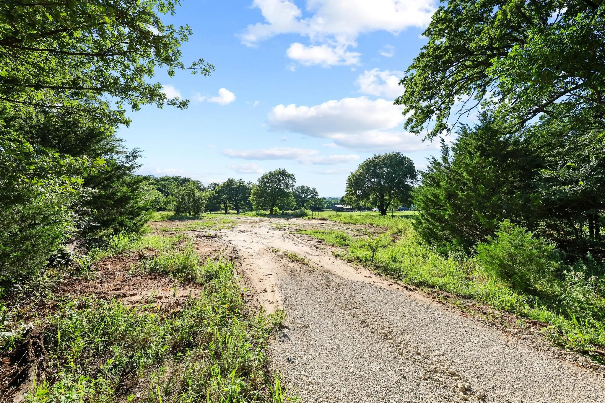 Unimproved Land For Sale in Cooke County , Tract 1 County Road 265, Collinsville, Texas 76233, 0, 0, Garage spaces, 0 Sqft, built in 0, Price $450,000, mls#21301172, Real Estate Agent in Collinsville, Homes For Sale in Cooke county, Homes For Sale in Collinsville, Realtor in Collinsville Texas, Real Estate Brokerage Independent Realty Texas, Luminita Cordes Realtor