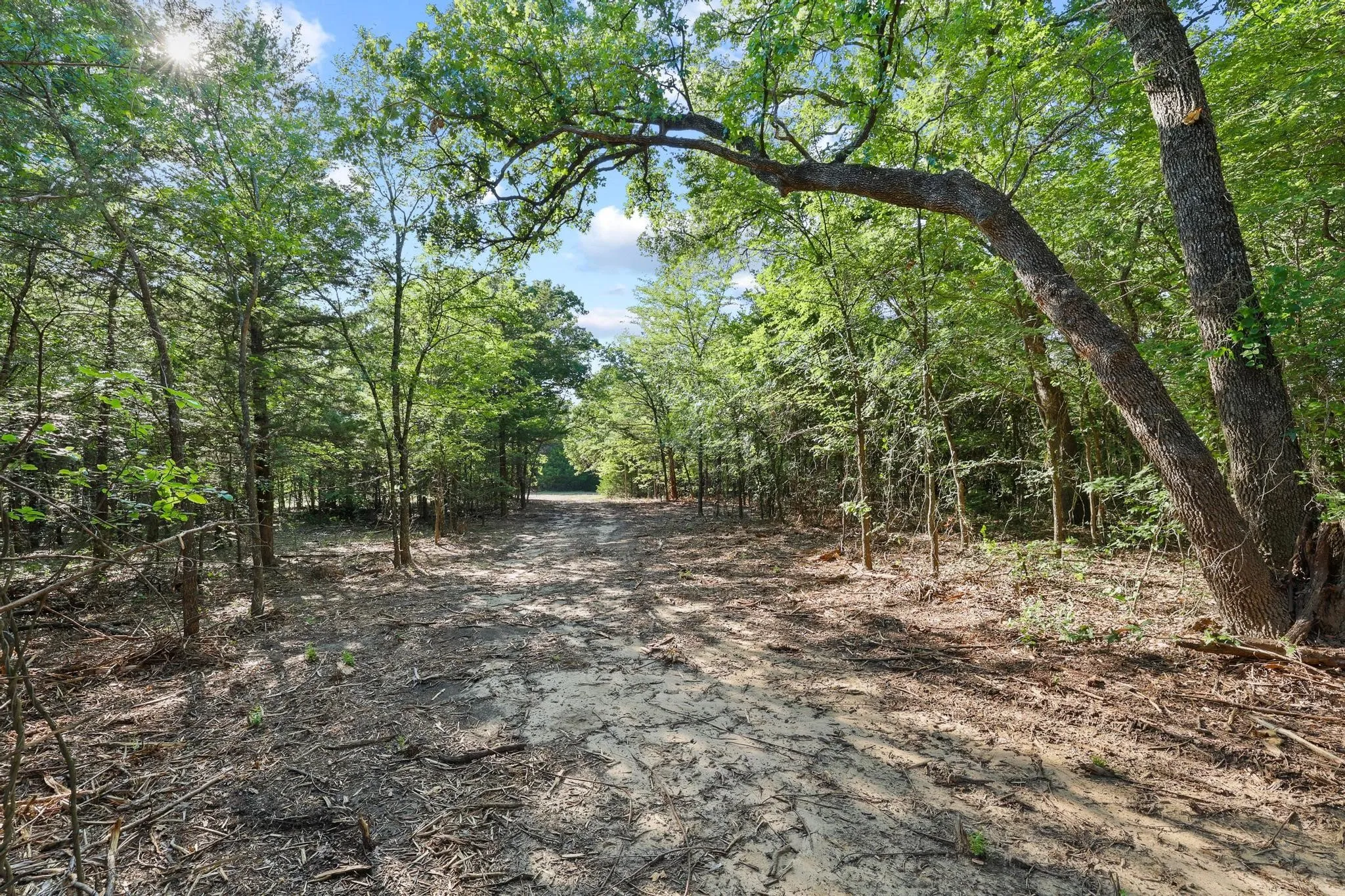 Unimproved Land For Sale in Cooke County , Tract 1 County Road 265, Collinsville, Texas 76233, 0, 0, Garage spaces, 0 Sqft, built in 0, Price $450,000, mls#21301172, Real Estate Agent in Collinsville, Homes For Sale in Cooke county, Homes For Sale in Collinsville, Realtor in Collinsville Texas, Real Estate Brokerage Independent Realty Texas, Luminita Cordes Realtor