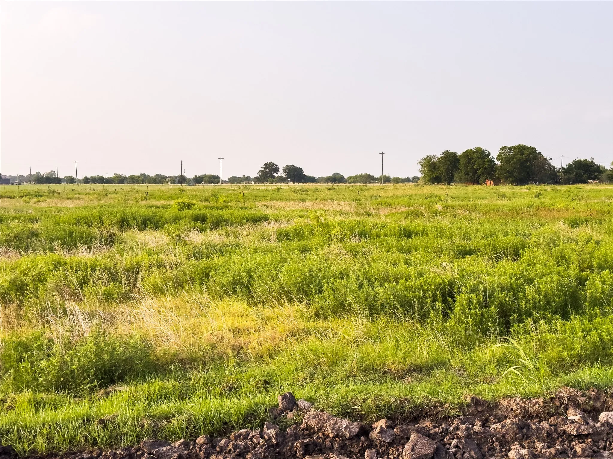 Expansive field featuring natural grass and varied vegetation