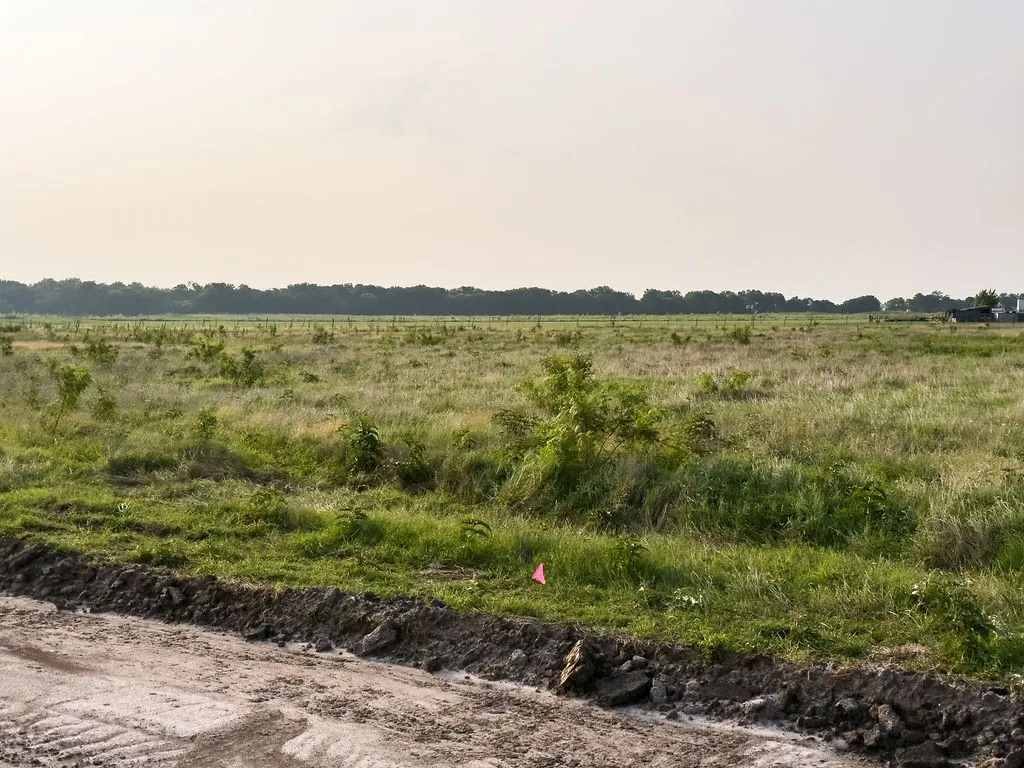 Expansive open land featuring diverse vegetation and a distant tree line
