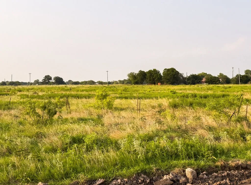 Expansive open land with a mix of green and golden grasses