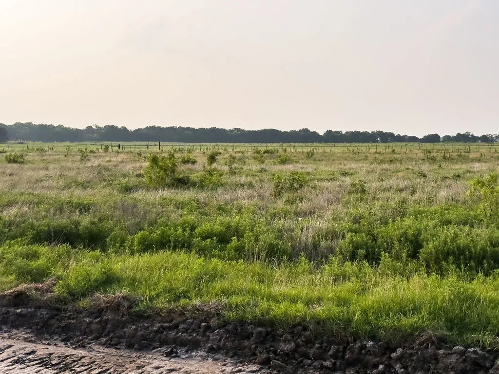 Expansive open field with green and brown grasses