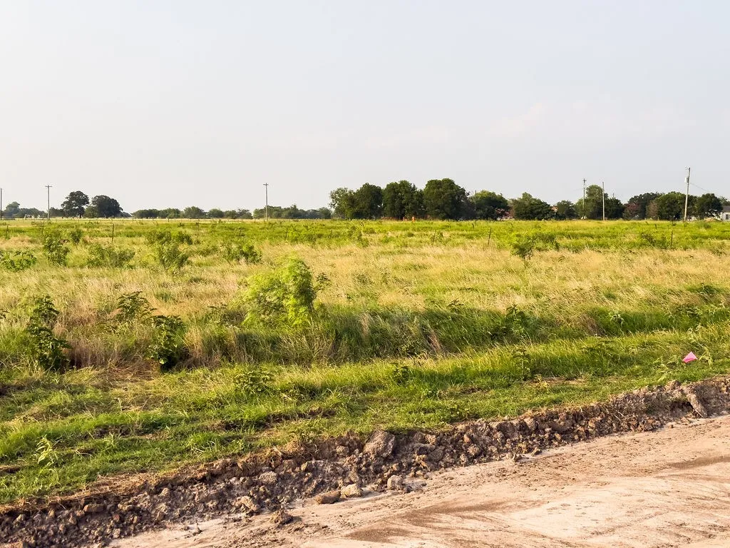 Expansive undeveloped land featuring natural grasses and scattered shrubbery