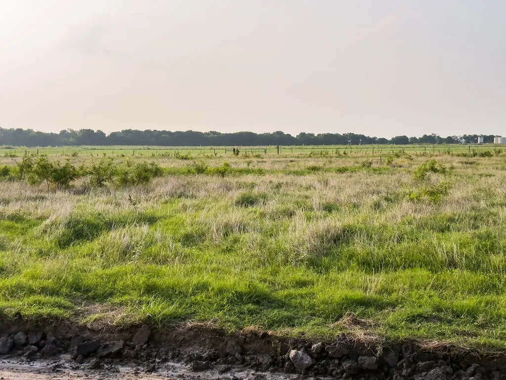Expansive open field with natural vegetation