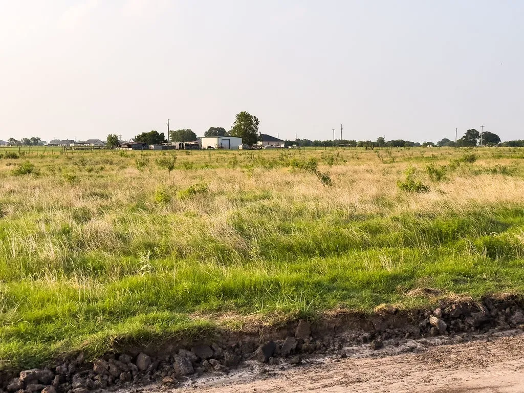 Expansive land parcel featuring natural grasses and scattered young trees