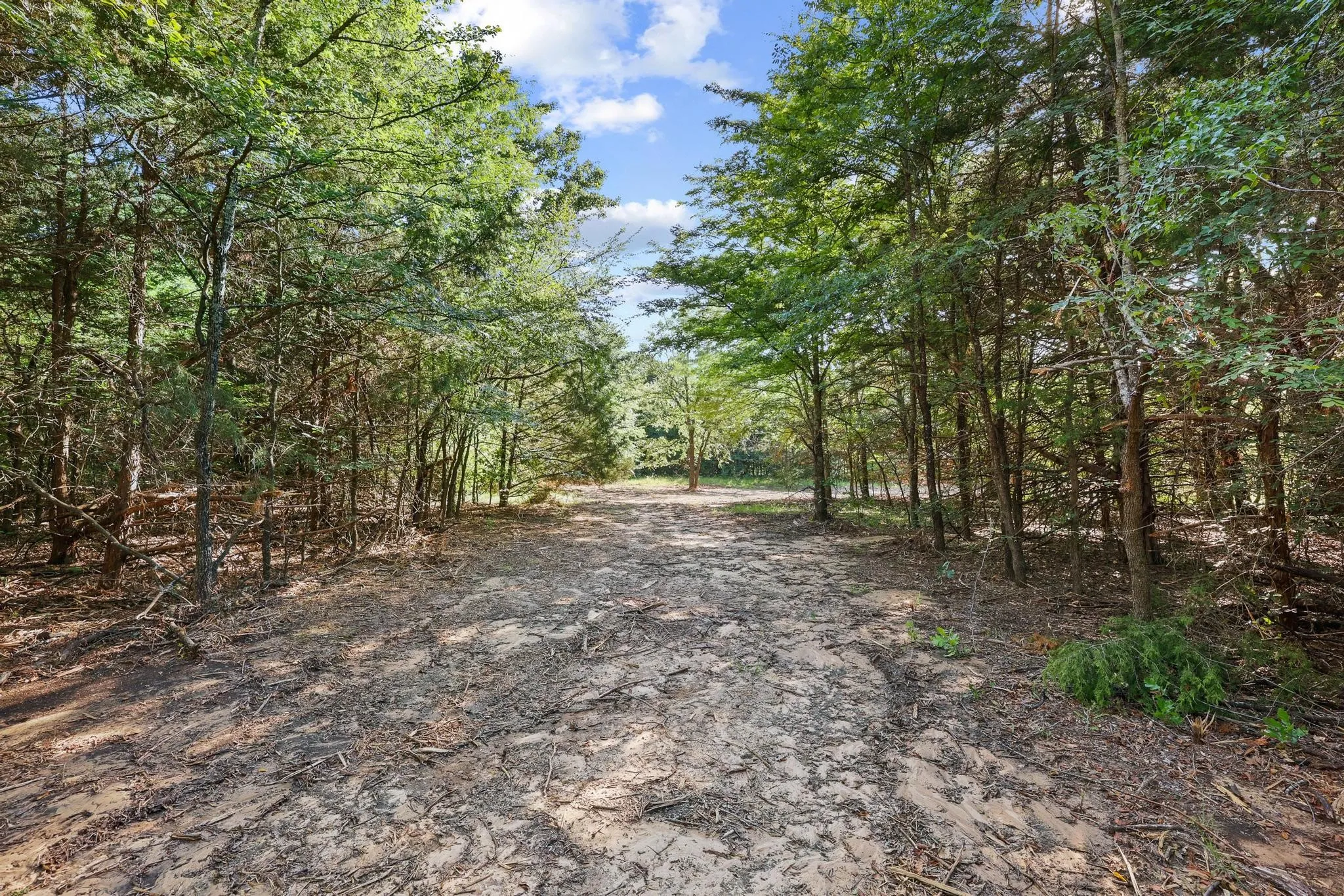 Unimproved Land For Sale in Cooke County , Tract 2 County Road 265, Collinsville, Texas 76233, 0, 0, Garage spaces, 0 Sqft, built in 0, Price $450,000, mls#21301173, Real Estate Agent in Collinsville, Homes For Sale in Cooke county, Homes For Sale in Collinsville, Realtor in Collinsville Texas, Real Estate Brokerage Independent Realty Texas, Luminita Cordes Realtor