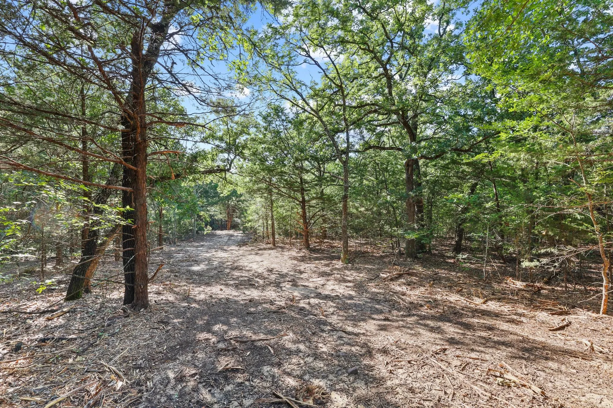 Unimproved Land For Sale in Cooke County , Tract 2 County Road 265, Collinsville, Texas 76233, 0, 0, Garage spaces, 0 Sqft, built in 0, Price $450,000, mls#21301173, Real Estate Agent in Collinsville, Homes For Sale in Cooke county, Homes For Sale in Collinsville, Realtor in Collinsville Texas, Real Estate Brokerage Independent Realty Texas, Luminita Cordes Realtor