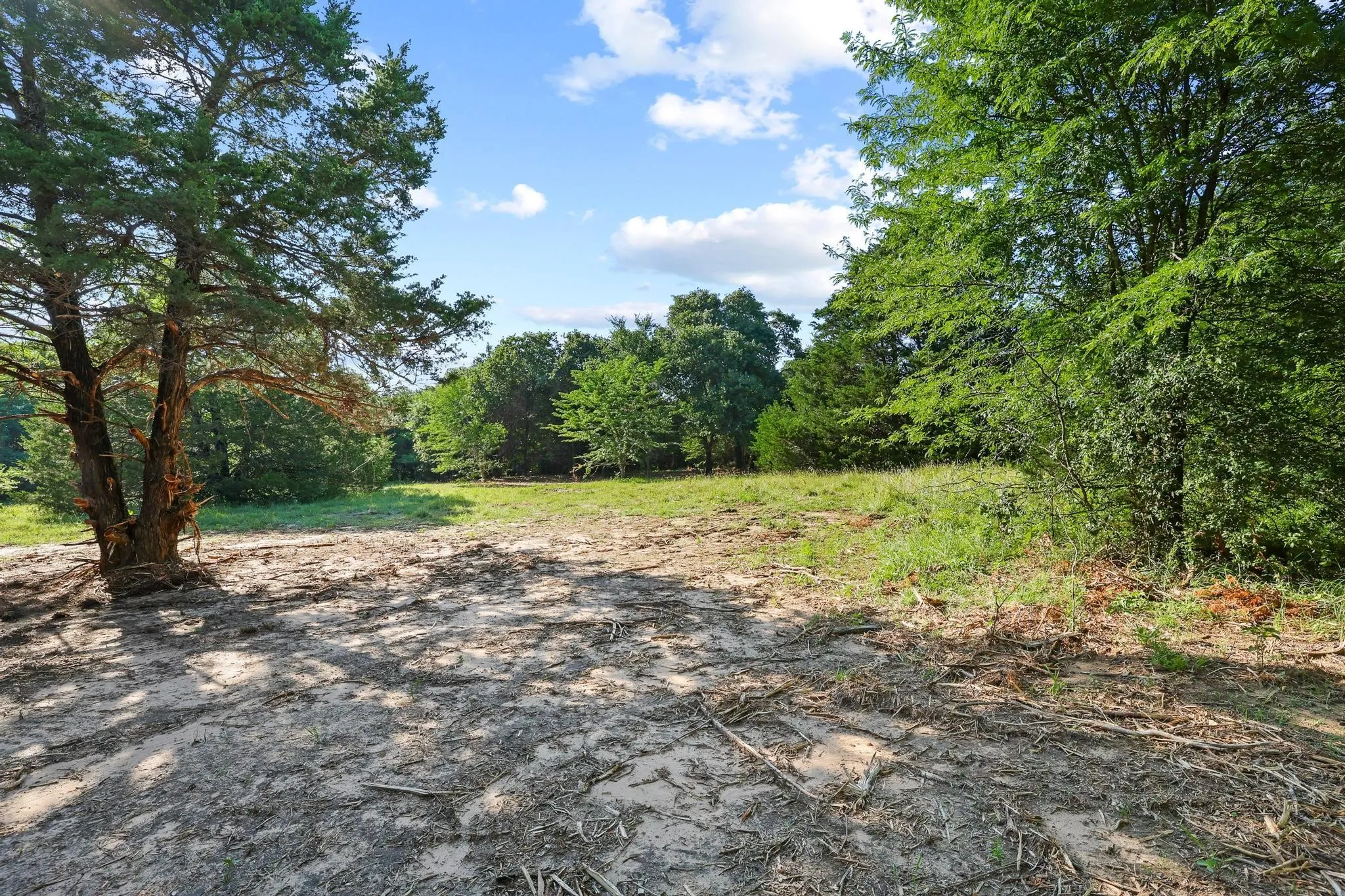Unimproved Land For Sale in Cooke County , Tract 2 County Road 265, Collinsville, Texas 76233, 0, 0, Garage spaces, 0 Sqft, built in 0, Price $450,000, mls#21301173, Real Estate Agent in Collinsville, Homes For Sale in Cooke county, Homes For Sale in Collinsville, Realtor in Collinsville Texas, Real Estate Brokerage Independent Realty Texas, Luminita Cordes Realtor