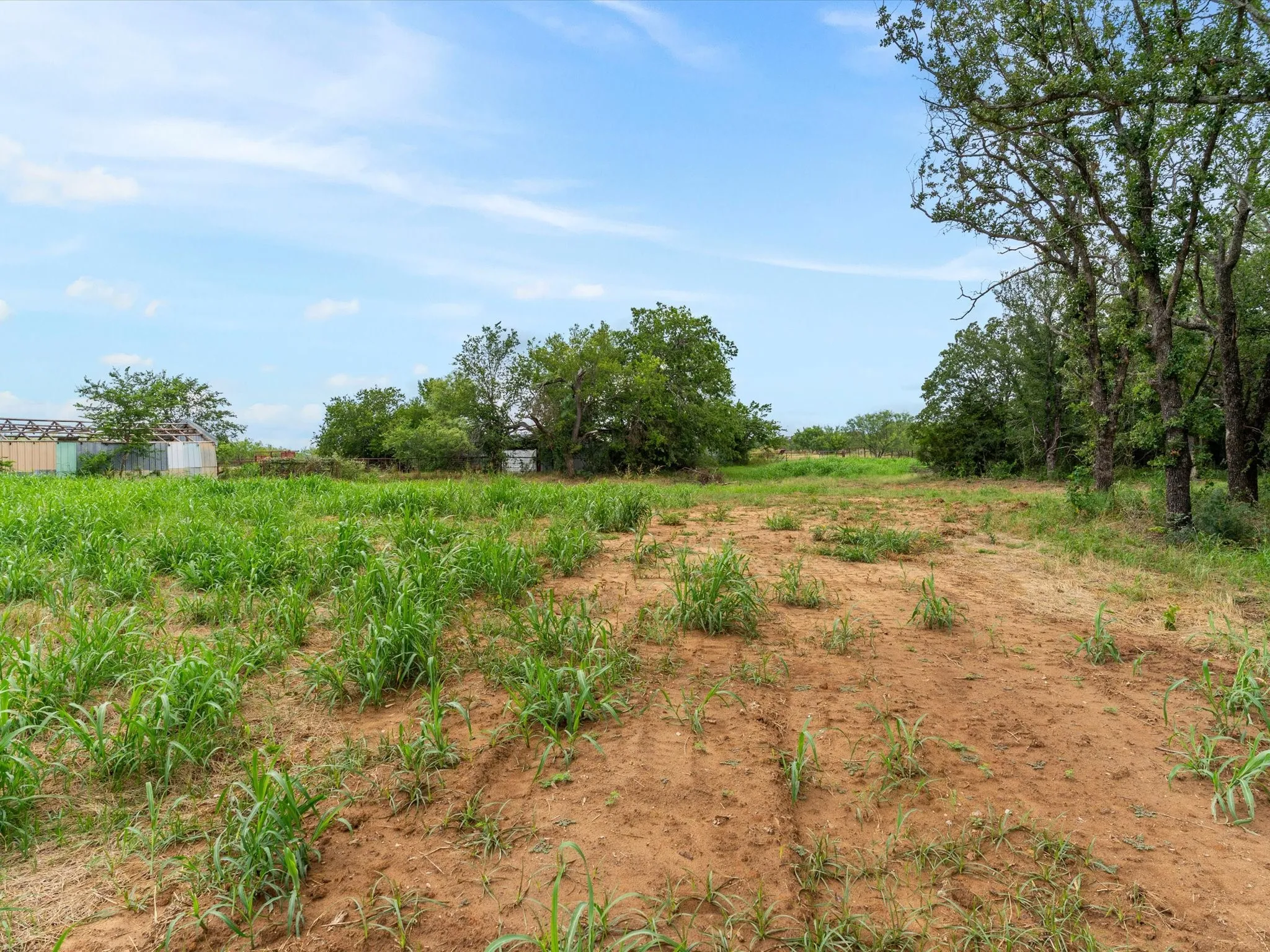 Unimproved Land For Sale in Wise County , 709 County Road 3355, Paradise, Texas 76023, 0, 0, Garage spaces, 0 Sqft, built in 0, mls#21308707, Real Estate Agent in Paradise, Homes For Sale in Wise county, Homes For Sale in Paradise, Realtor in Paradise Texas, Real Estate Brokerage Independent Realty Texas, Luminita Cordes Realtor