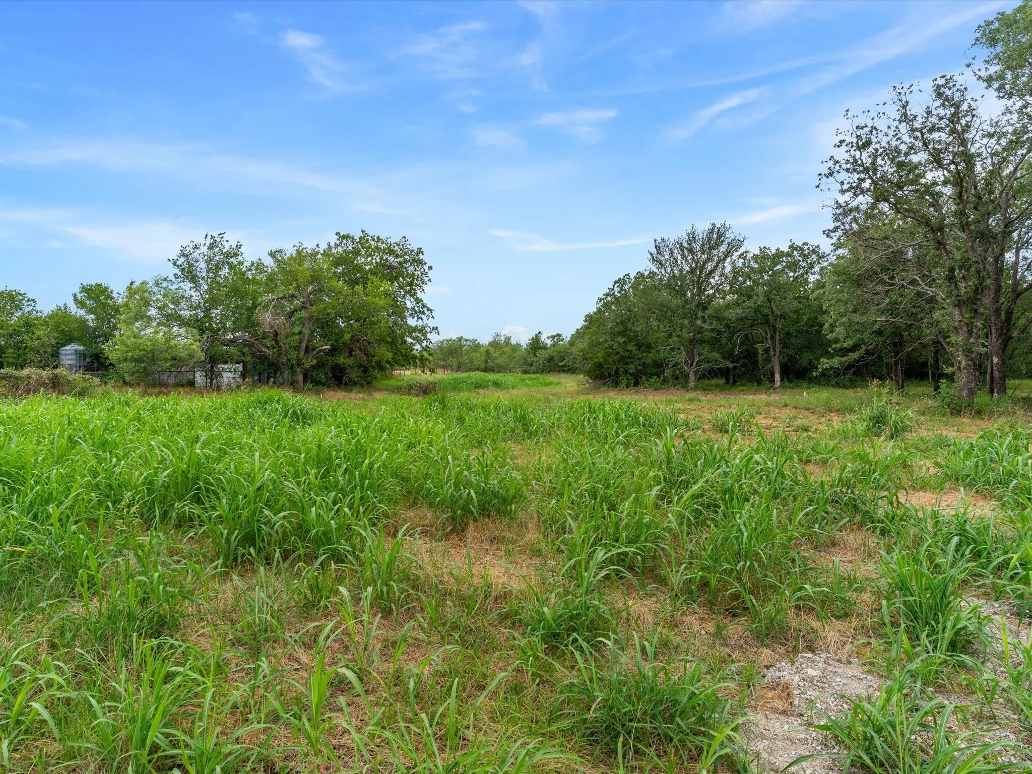Unimproved Land For Sale in Wise County , 709 County Road 3355, Paradise, Texas 76023, 0, 0, Garage spaces, 0 Sqft, built in 0, mls#21308707, Real Estate Agent in Paradise, Homes For Sale in Wise county, Homes For Sale in Paradise, Realtor in Paradise Texas, Real Estate Brokerage Independent Realty Texas, Luminita Cordes Realtor