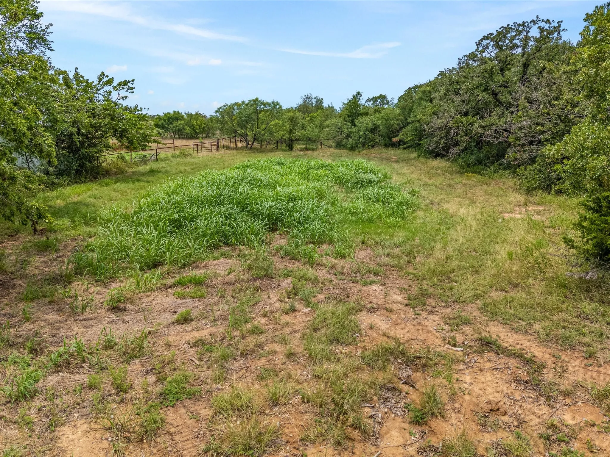Unimproved Land For Sale in Wise County , 709 County Road 3355, Paradise, Texas 76023, 0, 0, Garage spaces, 0 Sqft, built in 0, mls#21308707, Real Estate Agent in Paradise, Homes For Sale in Wise county, Homes For Sale in Paradise, Realtor in Paradise Texas, Real Estate Brokerage Independent Realty Texas, Luminita Cordes Realtor