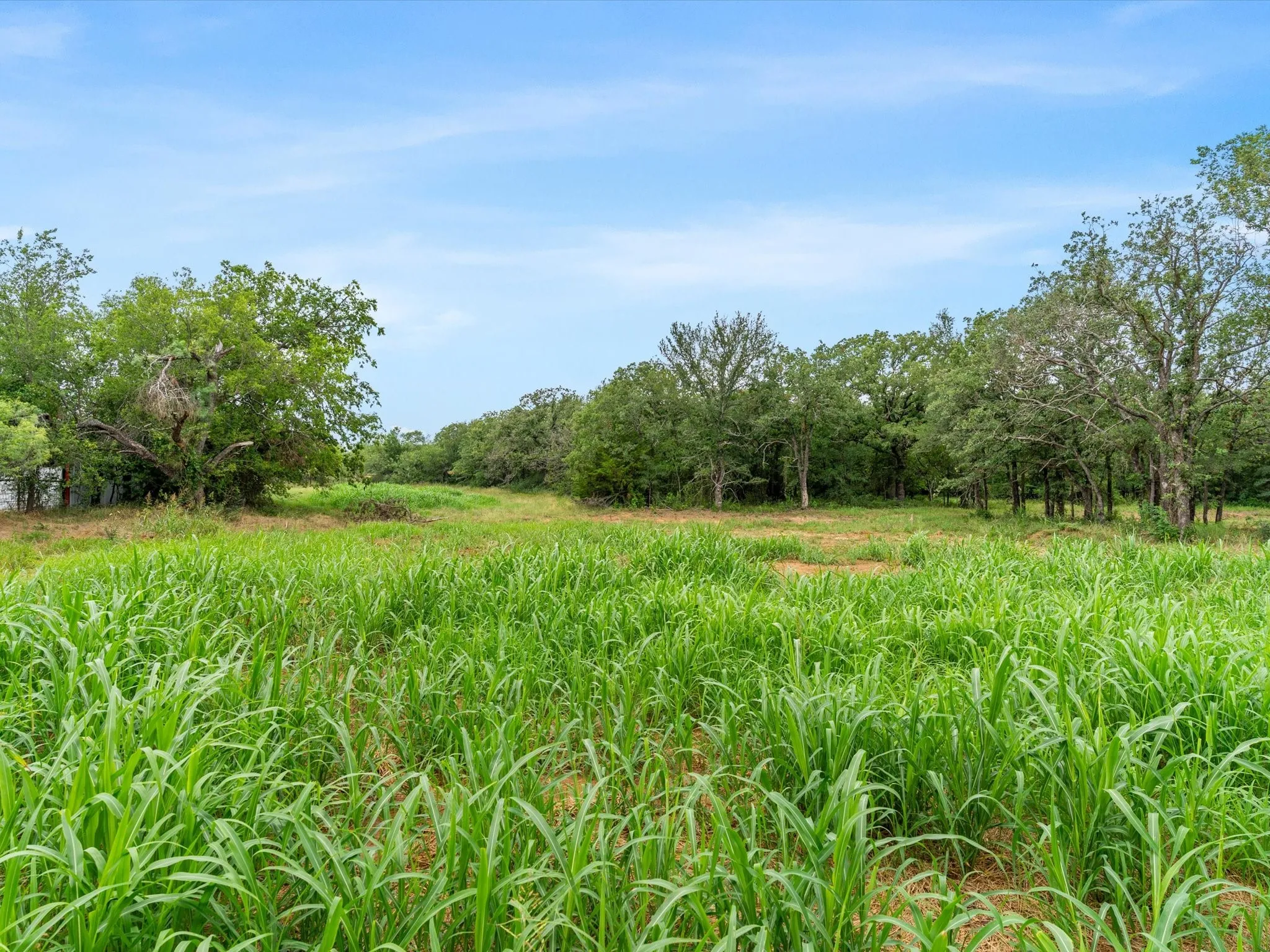 Unimproved Land For Sale in Wise County , 709 County Road 3355, Paradise, Texas 76023, 0, 0, Garage spaces, 0 Sqft, built in 0, mls#21308707, Real Estate Agent in Paradise, Homes For Sale in Wise county, Homes For Sale in Paradise, Realtor in Paradise Texas, Real Estate Brokerage Independent Realty Texas, Luminita Cordes Realtor