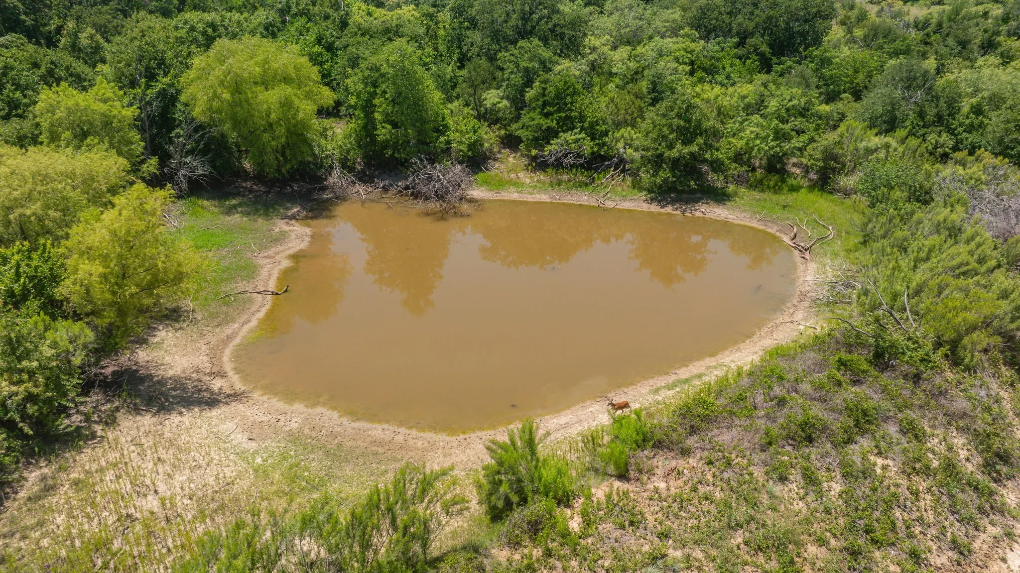 Unimproved Land For Sale in Erath County , TBD Tr 4 US HWY 281, Stephenville, Texas 76401, 0, 0, Garage spaces, 0 Sqft, built in 0, mls#21309639, Real Estate Agent in Stephenville, Homes For Sale in Erath county, Homes For Sale in Stephenville, Realtor in Stephenville Texas, Real Estate Brokerage Independent Realty Texas, Luminita Cordes Realtor