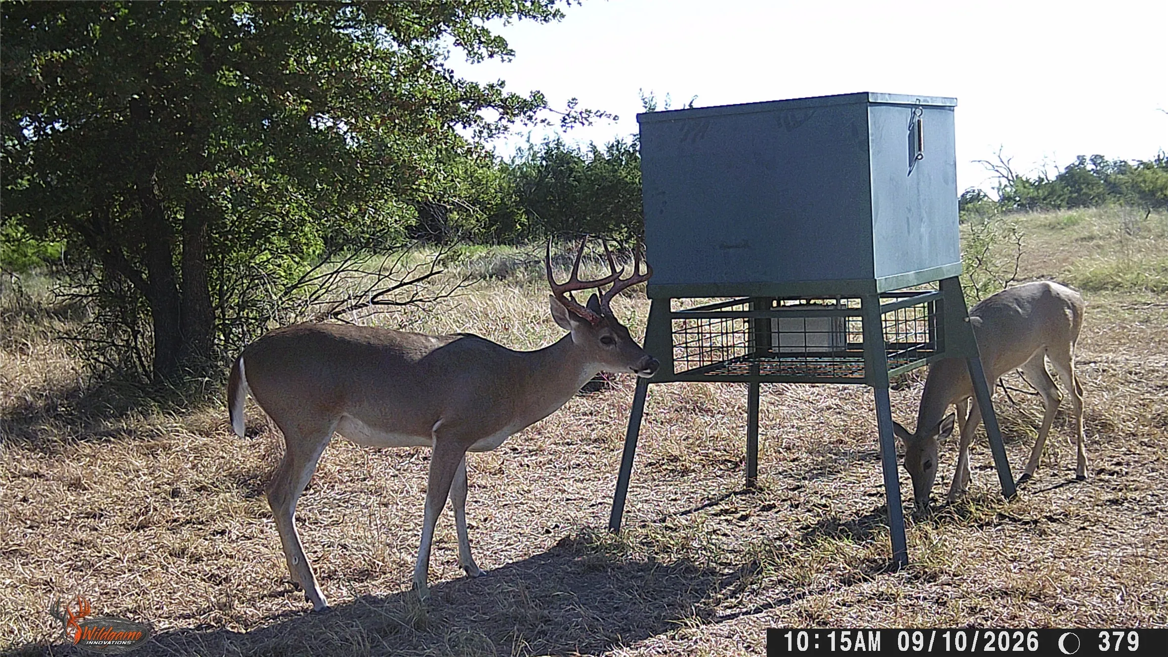 Unimproved Land For Sale in Erath County , TBD Tr 4 US HWY 281, Stephenville, Texas 76401, 0, 0, Garage spaces, 0 Sqft, built in 0, mls#21309639, Real Estate Agent in Stephenville, Homes For Sale in Erath county, Homes For Sale in Stephenville, Realtor in Stephenville Texas, Real Estate Brokerage Independent Realty Texas, Luminita Cordes Realtor