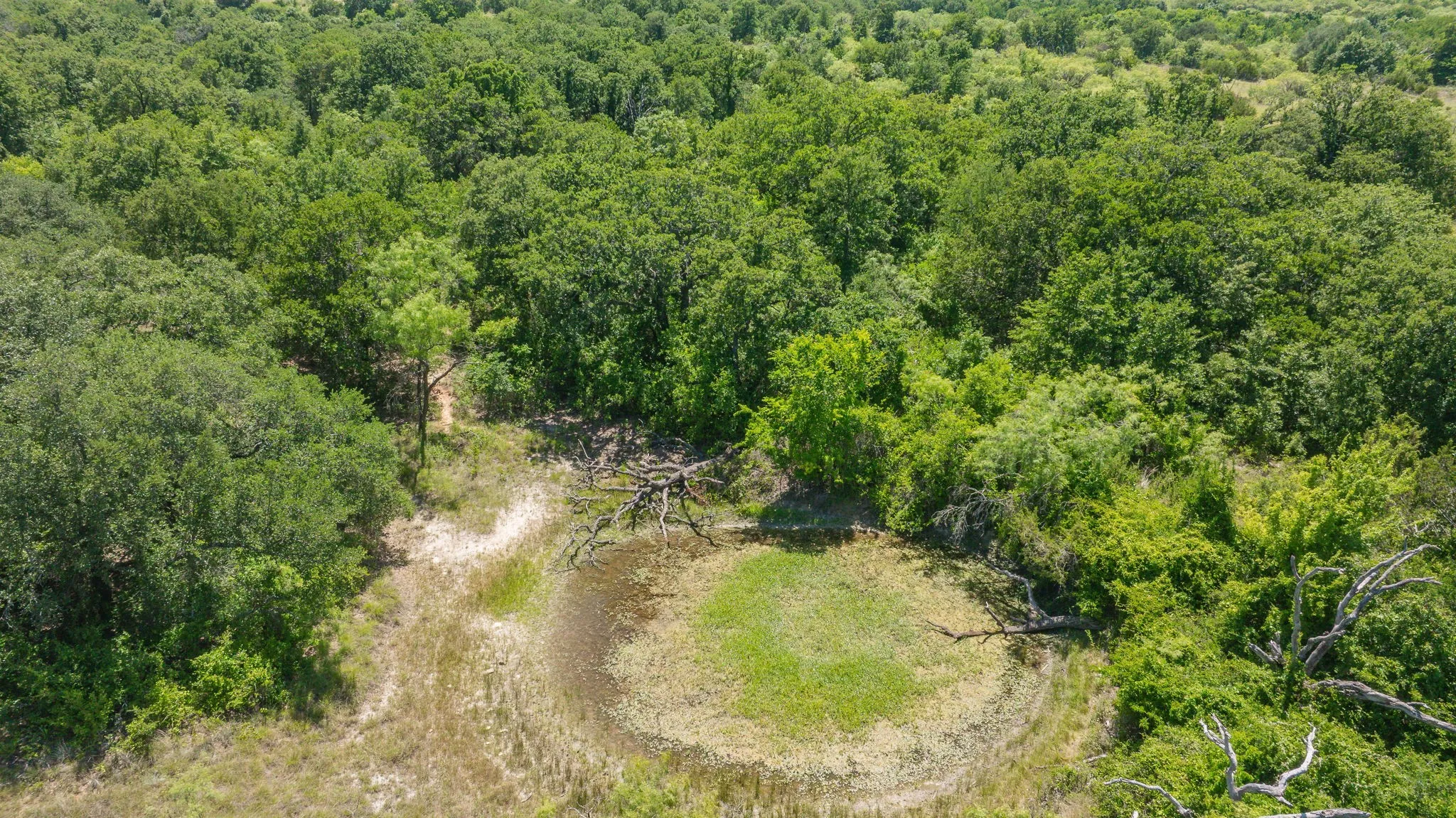 Unimproved Land For Sale in Erath County , TBD Tr 4 US HWY 281, Stephenville, Texas 76401, 0, 0, Garage spaces, 0 Sqft, built in 0, mls#21309639, Real Estate Agent in Stephenville, Homes For Sale in Erath county, Homes For Sale in Stephenville, Realtor in Stephenville Texas, Real Estate Brokerage Independent Realty Texas, Luminita Cordes Realtor