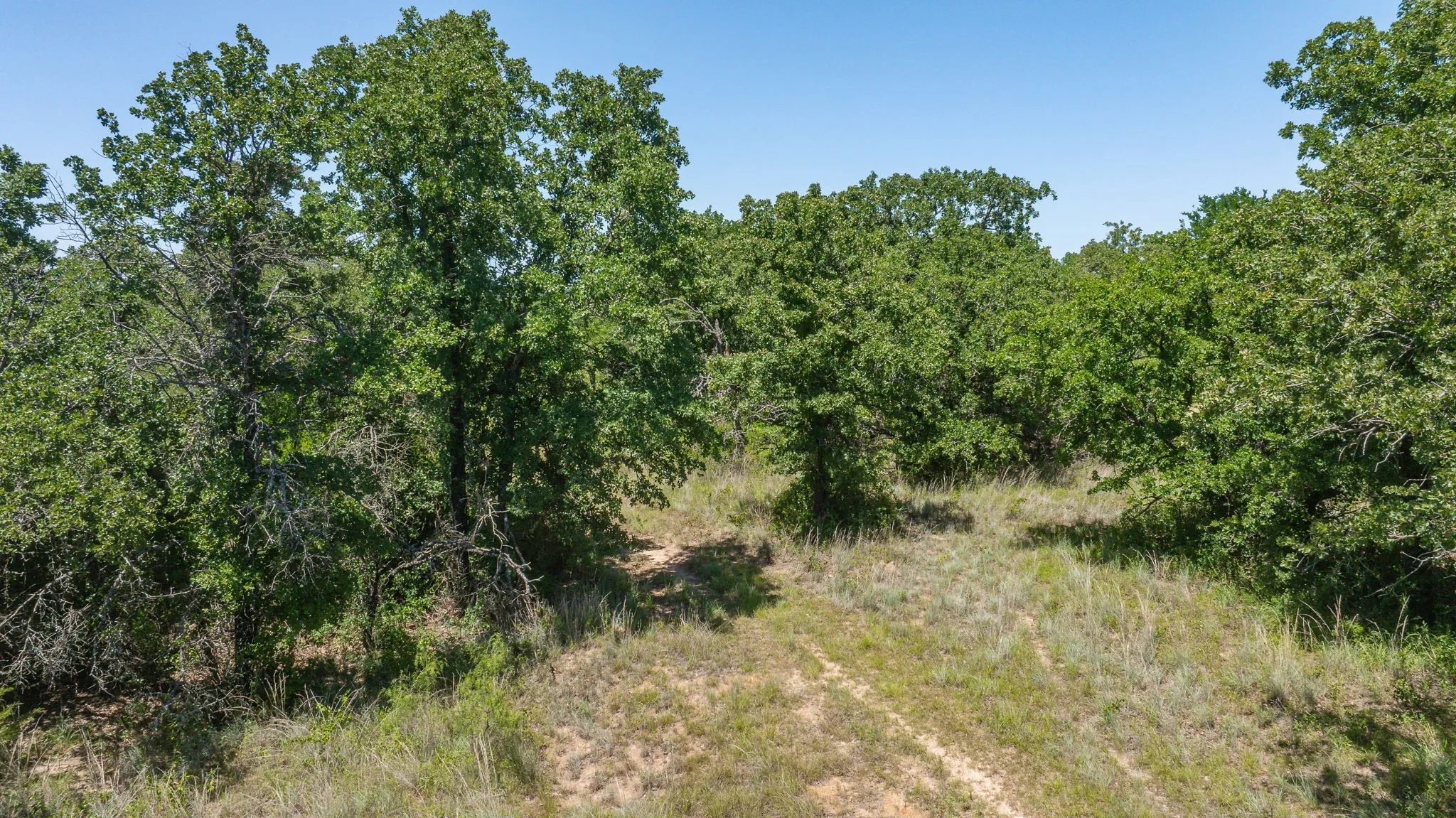 Unimproved Land For Sale in Erath County , TBD Tr 4 US HWY 281, Stephenville, Texas 76401, 0, 0, Garage spaces, 0 Sqft, built in 0, mls#21309639, Real Estate Agent in Stephenville, Homes For Sale in Erath county, Homes For Sale in Stephenville, Realtor in Stephenville Texas, Real Estate Brokerage Independent Realty Texas, Luminita Cordes Realtor
