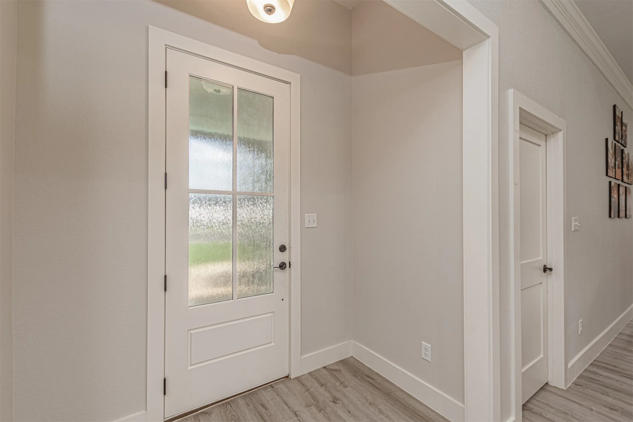 Entryway featuring a white paneled door with divided lite opaque glass, wood-finish flooring, white trim, and a flush mount ceiling light