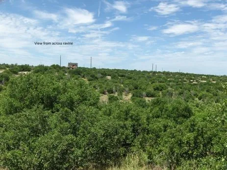 Unimproved Land For Sale in Palo Pinto County , TBD Royal Aberdeen Court, Graford, Texas 76449, 0, 0, Garage spaces, 0 Sqft, built in 0, mls#21309190, Real Estate Agent in Graford, Homes For Sale in Palo Pinto county, Homes For Sale in Graford, Realtor in Graford Texas, Real Estate Brokerage Independent Realty Texas, Luminita Cordes Realtor