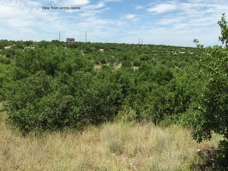Unimproved Land For Sale in Palo Pinto County , TBD Royal Aberdeen Court, Graford, Texas 76449, 0, 0, Garage spaces, 0 Sqft, built in 0, mls#21309190, Real Estate Agent in Graford, Homes For Sale in Palo Pinto county, Homes For Sale in Graford, Realtor in Graford Texas, Real Estate Brokerage Independent Realty Texas, Luminita Cordes Realtor