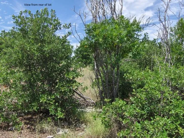 Unimproved Land For Sale in Palo Pinto County , TBD Royal Aberdeen Court, Graford, Texas 76449, 0, 0, Garage spaces, 0 Sqft, built in 0, mls#21309190, Real Estate Agent in Graford, Homes For Sale in Palo Pinto county, Homes For Sale in Graford, Realtor in Graford Texas, Real Estate Brokerage Independent Realty Texas, Luminita Cordes Realtor