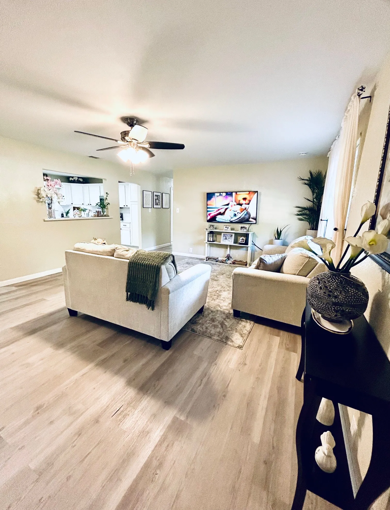 Living room with light wood finished floors and a ceiling fan
