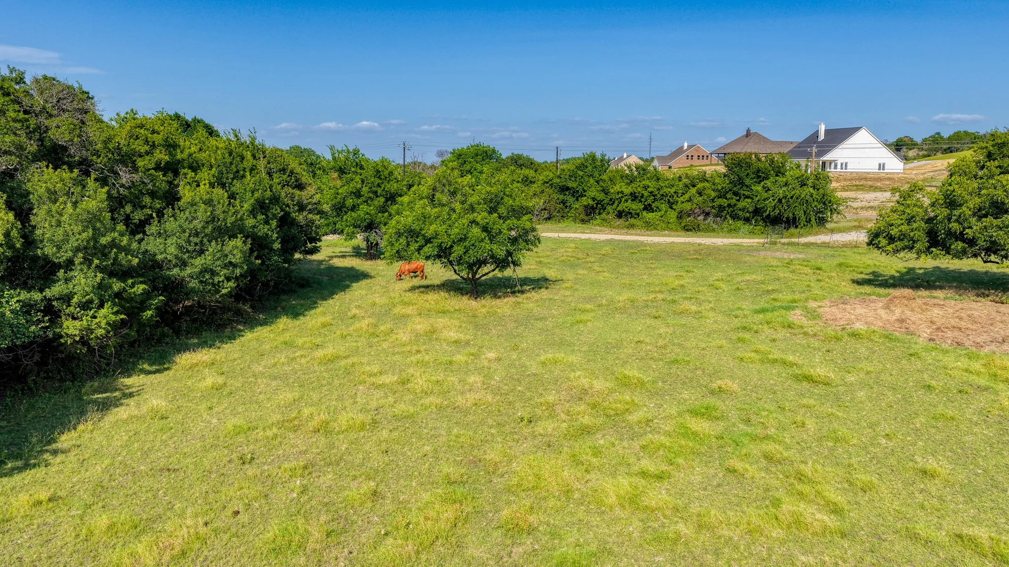 Improved Land For Sale in Parker County , 3749 N Fm 51, Weatherford, Texas 76085, 0, 0, Garage spaces, 0 Sqft, built in 0, mls#21307537, Real Estate Agent in Weatherford, Homes For Sale in Parker county, Homes For Sale in Weatherford, Realtor in Weatherford Texas, Real Estate Brokerage Independent Realty Texas, Luminita Cordes Realtor